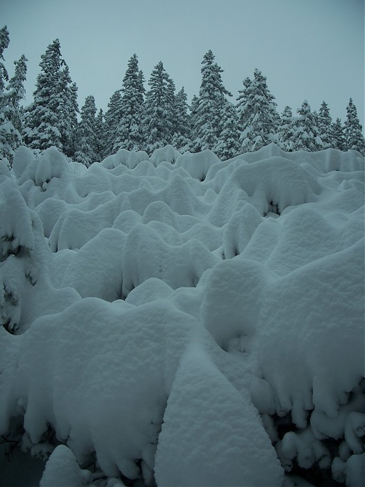 Śnieżne konstrukcje