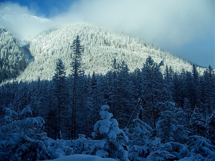 Śnieżne, świateczne Tatry